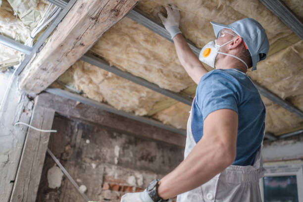 Best Insulation Installation Services in Silverthorne, CO